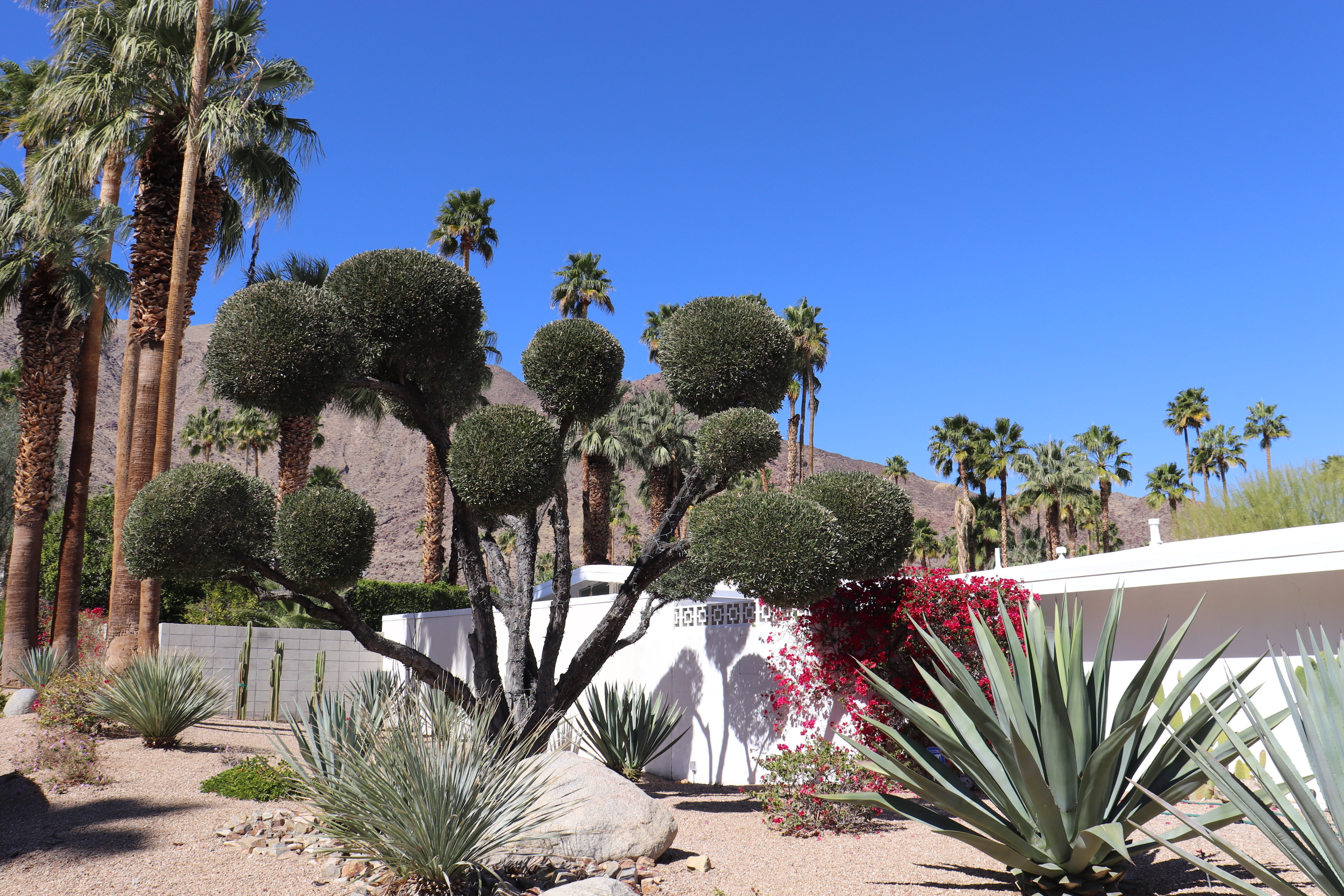 Palm Springs, California: A Mid-Century Modern Desert Escape